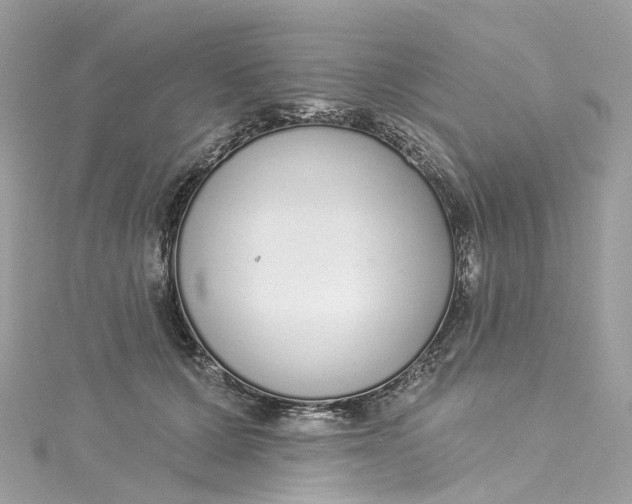 X0000115220607200911181550