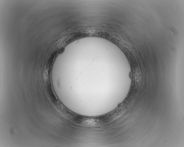 X0000115220611200911181550