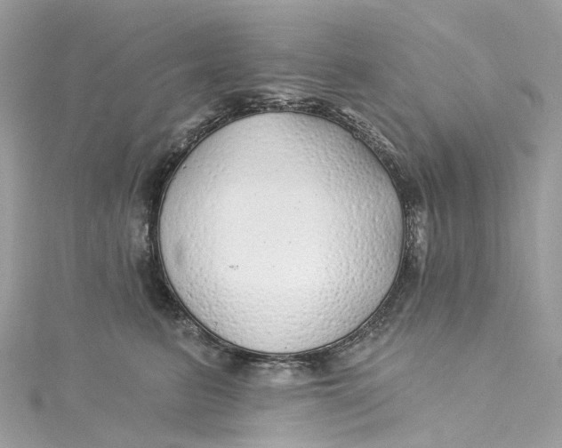 X0000115220615200911181550