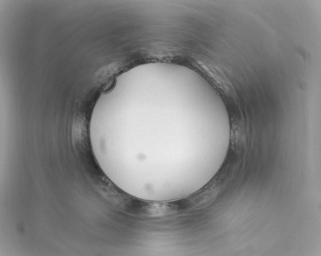 X0000115220623200911181550