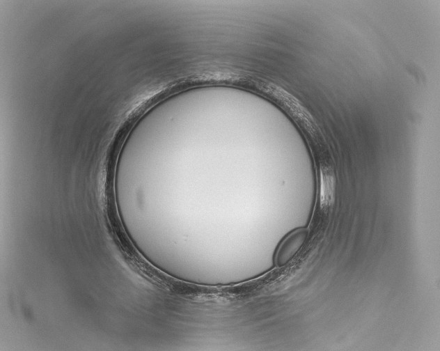 X0000115220627200911181549