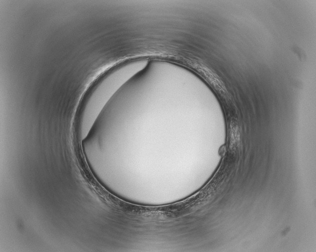X0000115220628200911181549