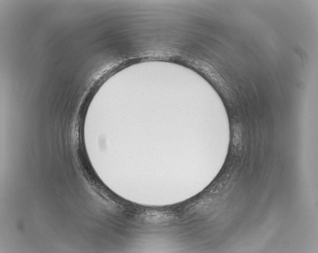 X0000115220632200911181549