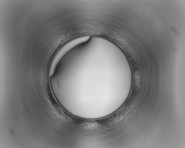 X0000115220642200911181549