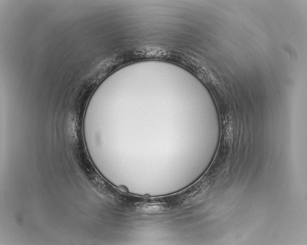 X0000115220643200911181549