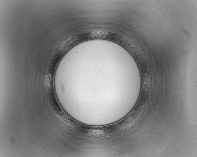 X0000115220649200911181550