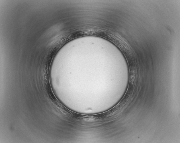 X0000115220653200911181550