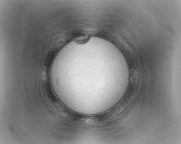 X0000115220655200911181550