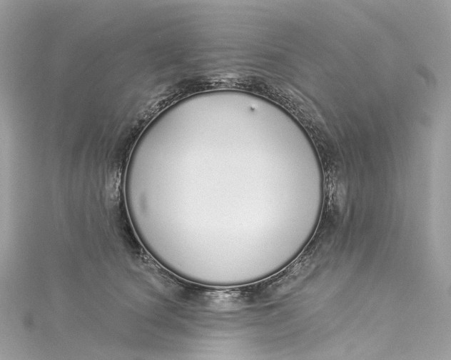 X0000115220660200911181550