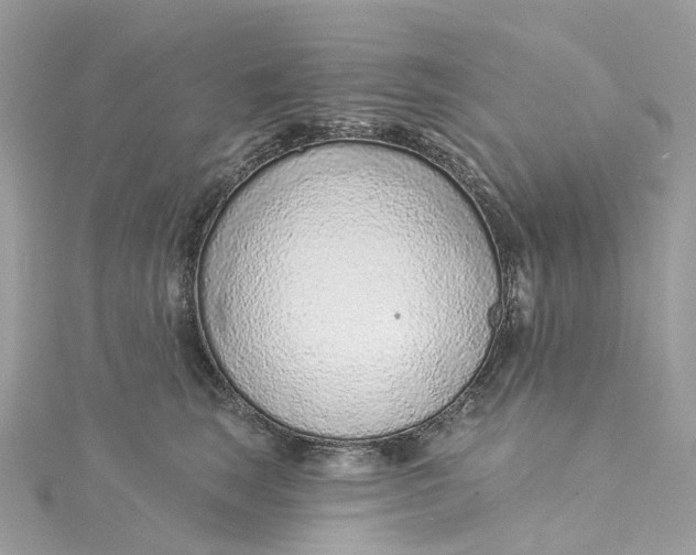X0000115220663200911181550