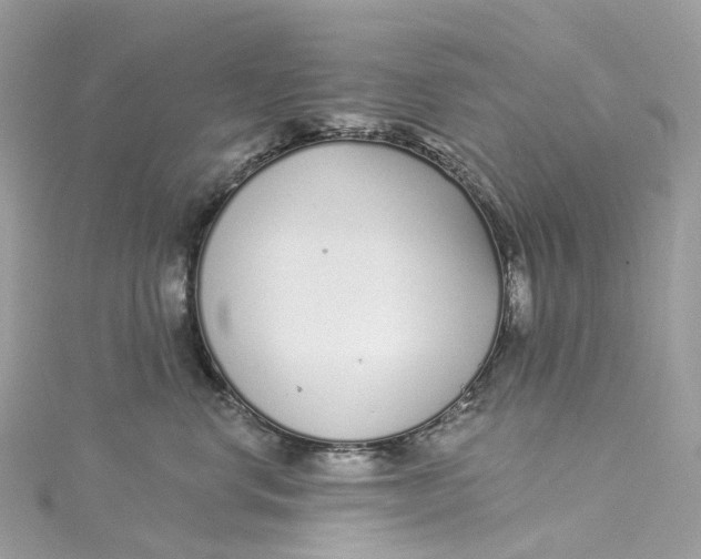 X0000115220668200911181550