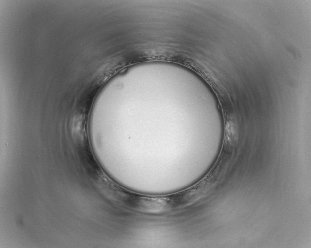 X0000115220671200911181550