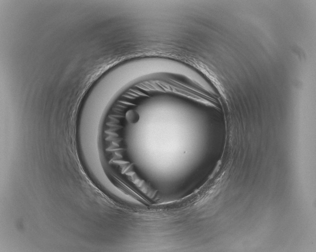 X0000115220673200911181549
