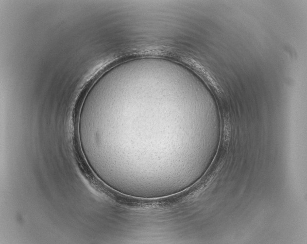 X0000115220674200911181549