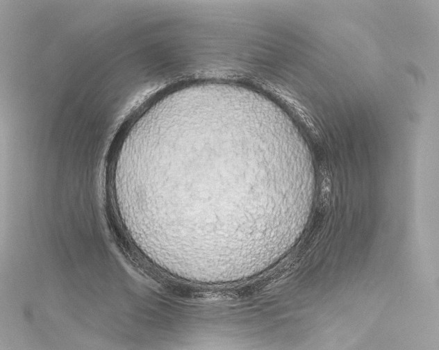 X0000115220678200911181549