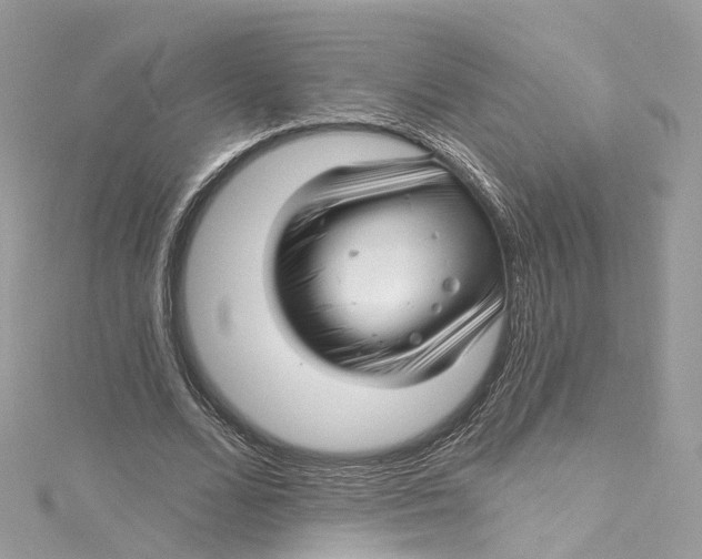 X0000115220680200911181549