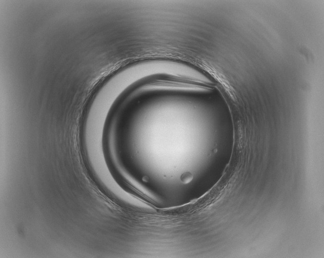 X0000115220681200911181549