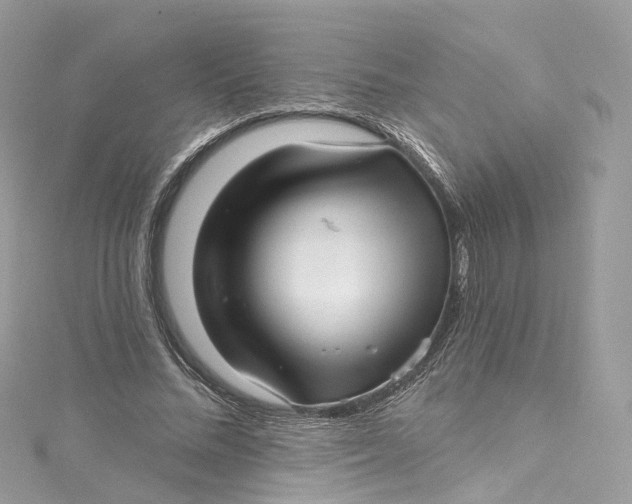 X0000115220684200911181549