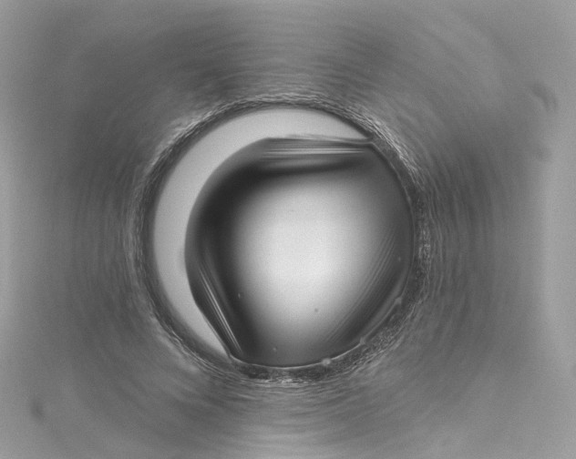 X0000115220688200911181549