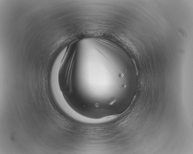 X0000115220693200911181549