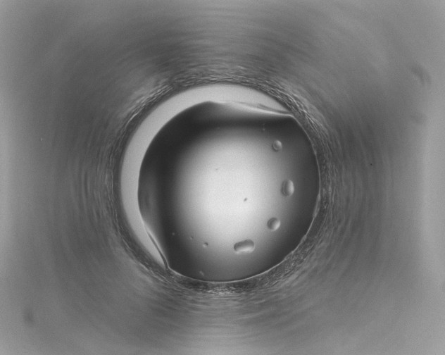 X0000115220696200911181549