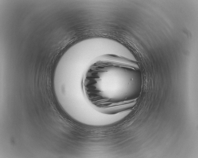X0000115220700200911181549