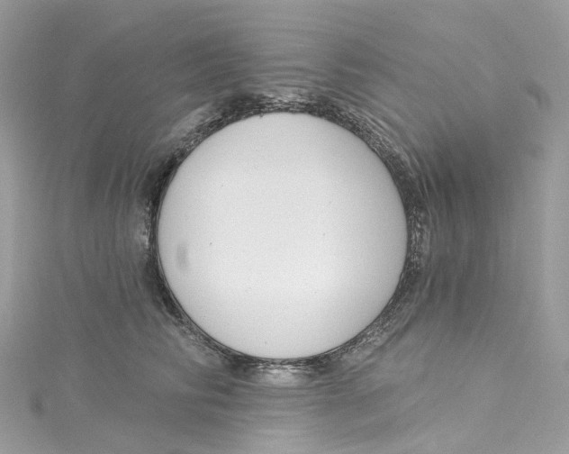 X0000115220710200911181549