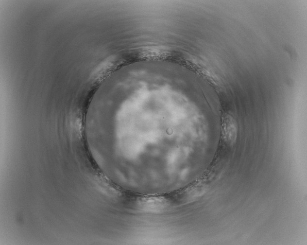 X0000115220716200911181549