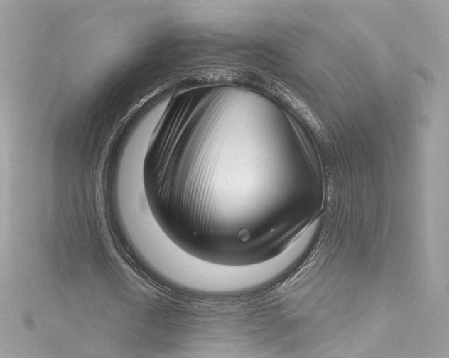 X0000115220722200911181548