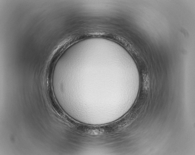 X0000115220731200911181548