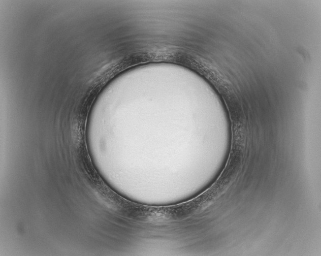 X0000115220741200911181548