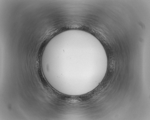 X0000115220743200911181548