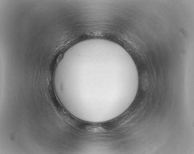X0000115220747200911181548