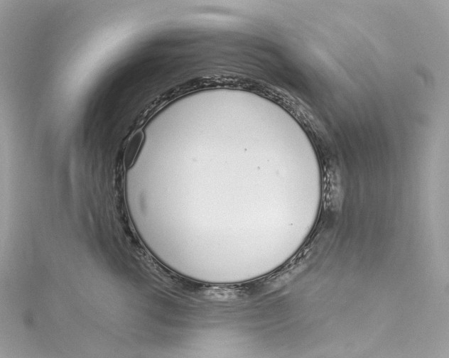 X0000115220762200911181549