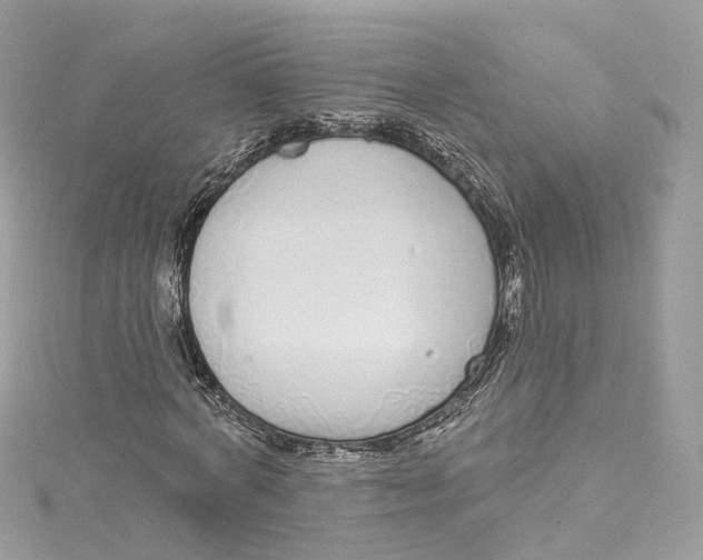 X0000115220772200911181548