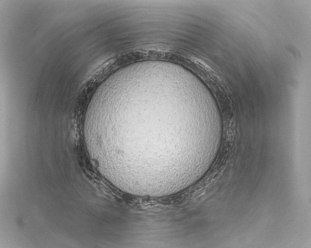 X0000115220774200911181548