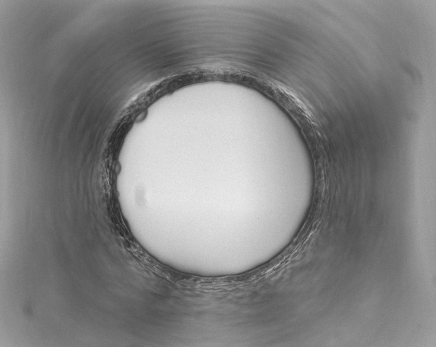 X0000115220776200911181548