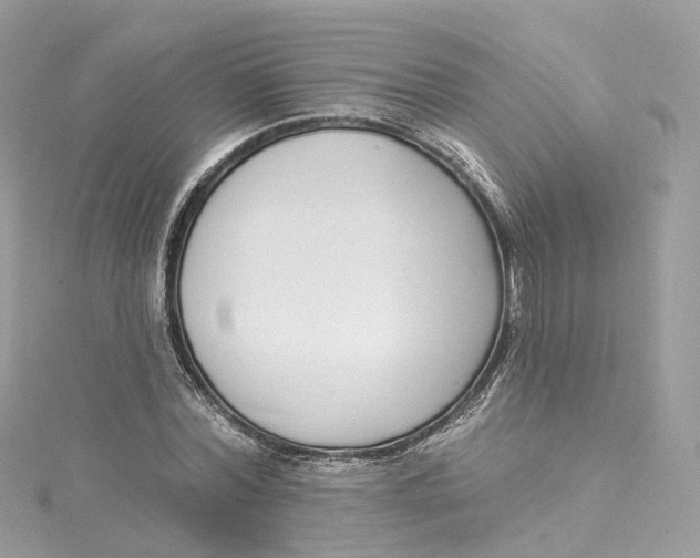 X0000115220780200911181548