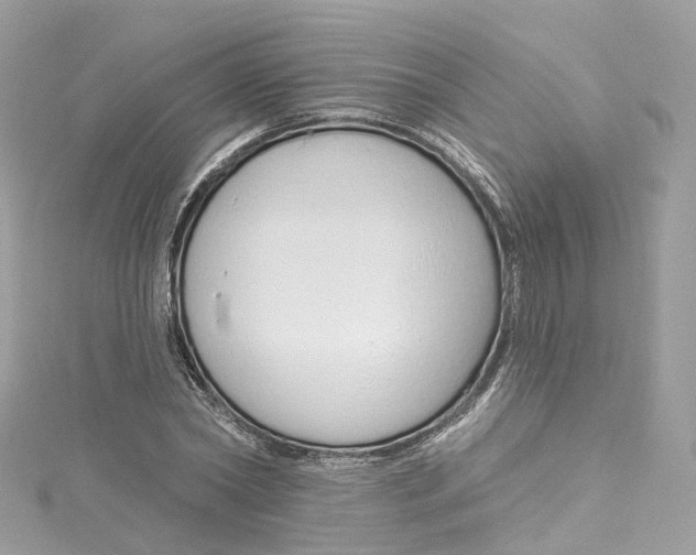 X0000115220782200911181548