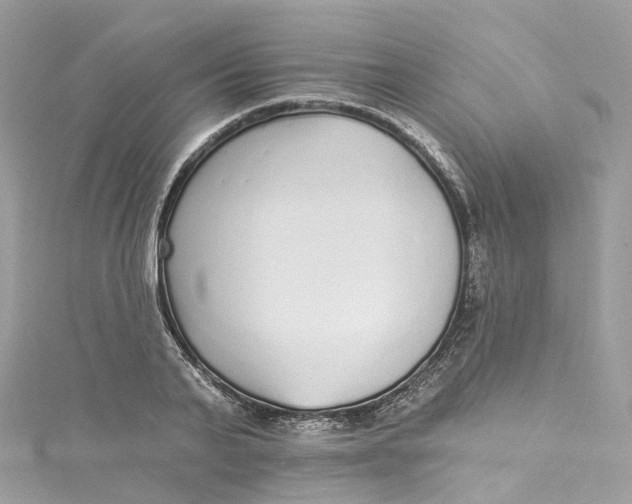 X0000115220791200911181548