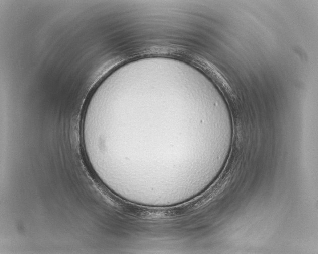 X0000115220794200911181548