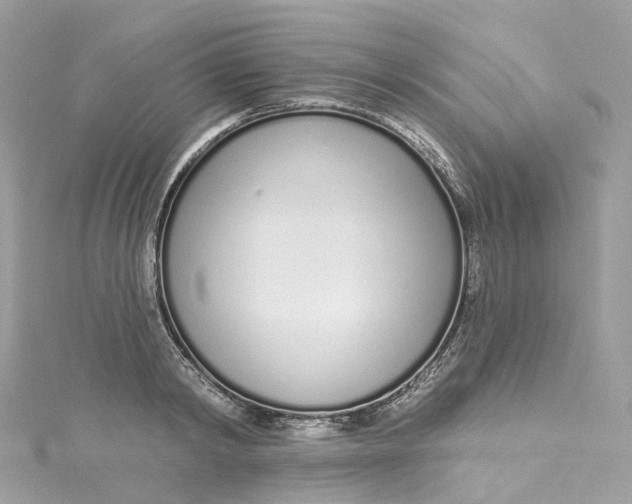 X0000115220798200911181548
