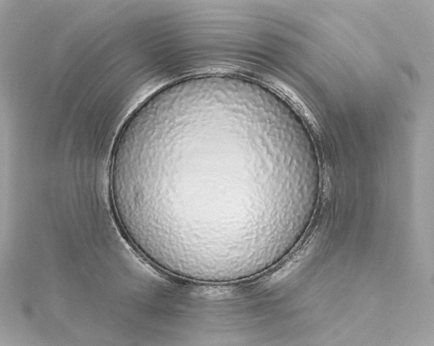X0000115220802200911181548