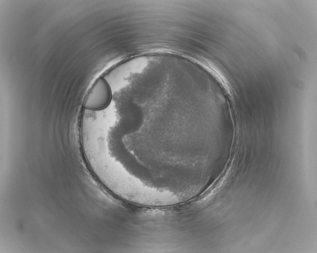 X0000115220806200911181547