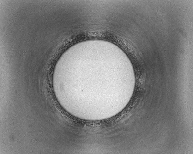 X0000115220817200911181547