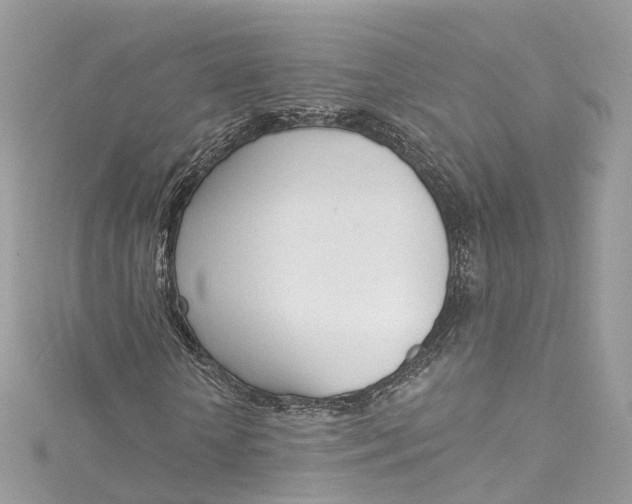 X0000115220818200911181547