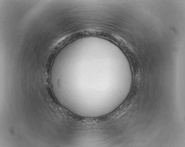 X0000115220822200911181547