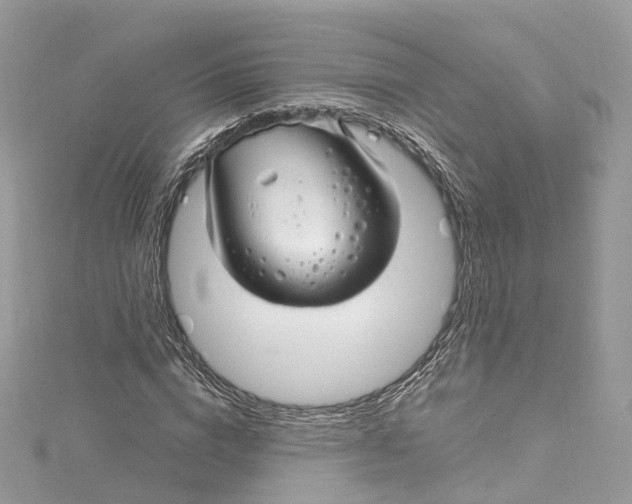 X0000115220824200911181547