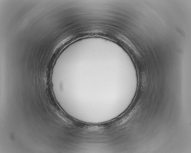 X0000115220826200911181547