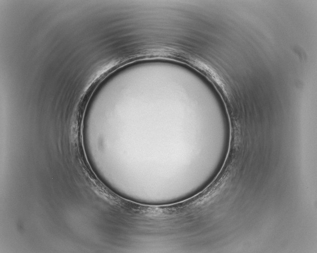 X0000115220827200911181547